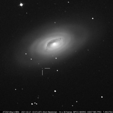 超新星　AT2021dhg in M64「黒眼銀河」